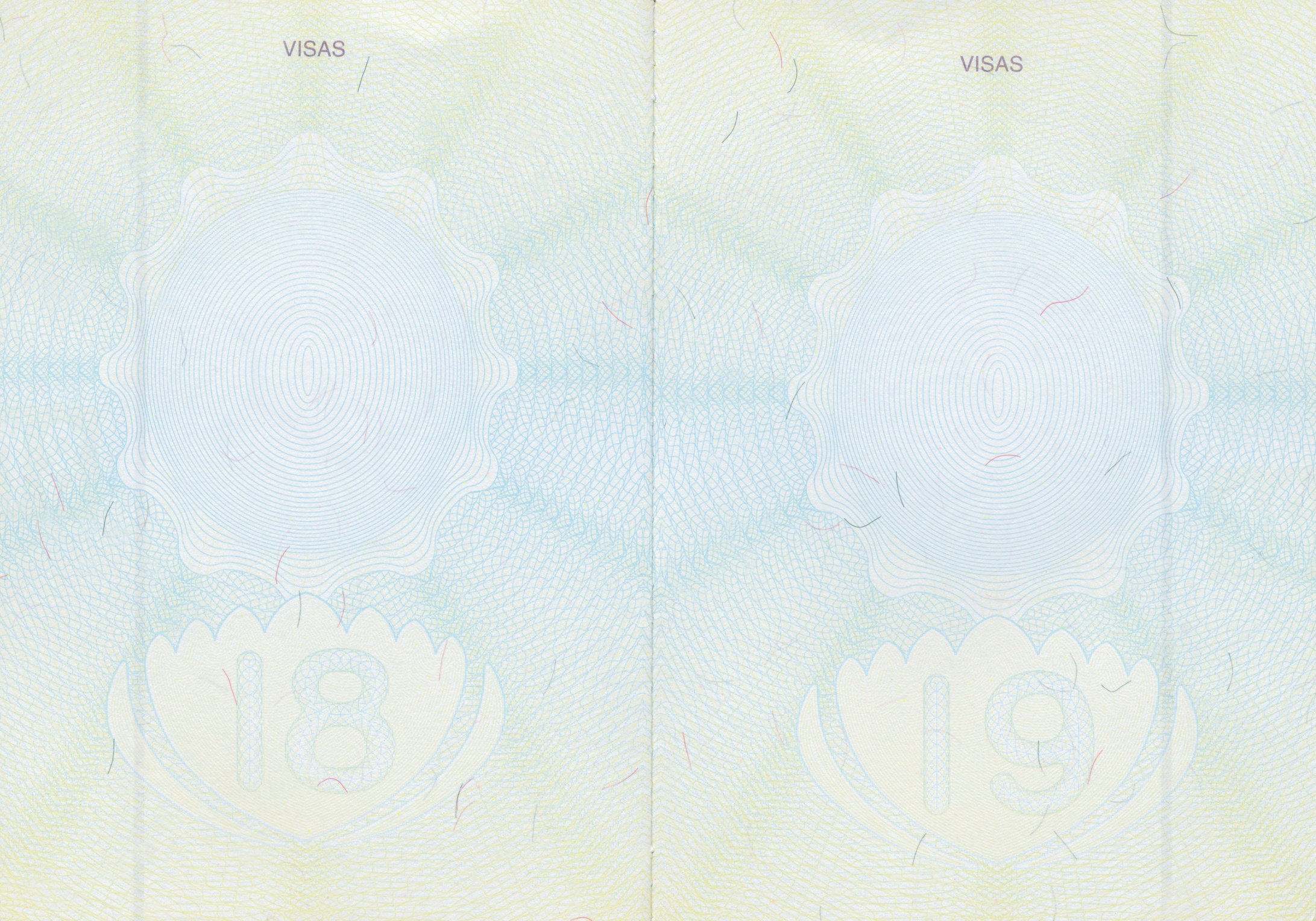 Passport Pages